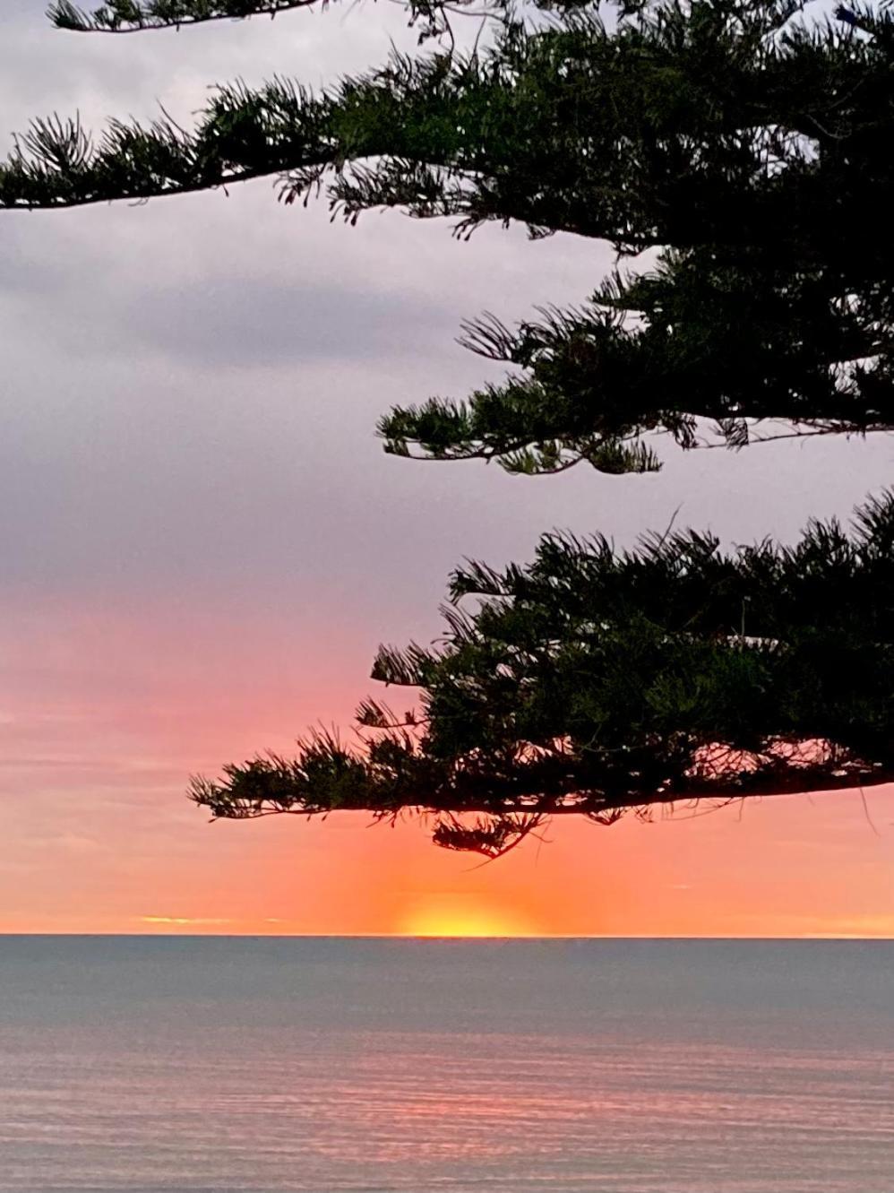 Absolute Beachfront Apartment, Amazing Sunsets Glenelg Eksteriør bilde