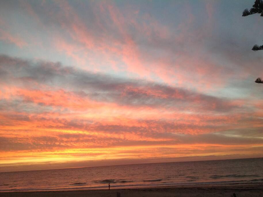 Absolute Beachfront Apartment, Amazing Sunsets Glenelg Eksteriør bilde
