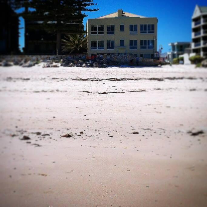 Absolute Beachfront Apartment, Amazing Sunsets Glenelg Eksteriør bilde