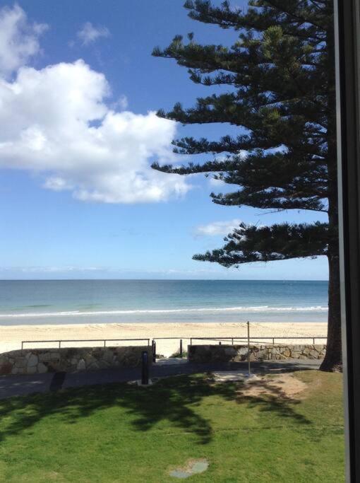 Absolute Beachfront Apartment, Amazing Sunsets Glenelg Eksteriør bilde